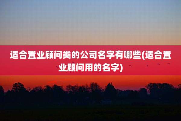 适合置业顾问类的公司名字有哪些(适合置业顾问用的名字)