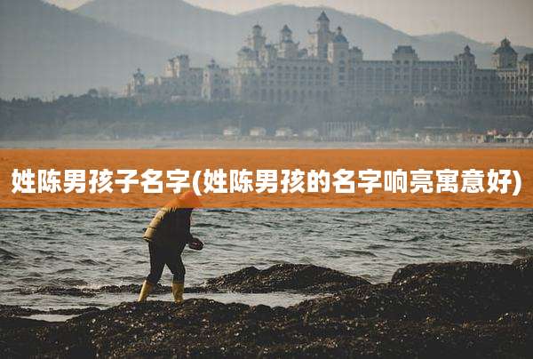 姓陈男孩子名字(姓陈男孩的名字响亮寓意好)