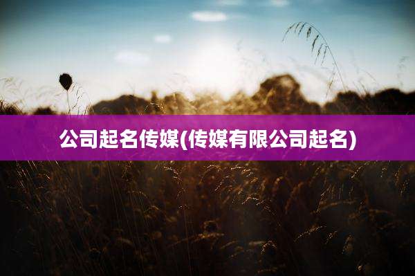 公司起名传媒(传媒有限公司起名)