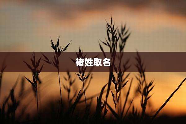 褚姓取名