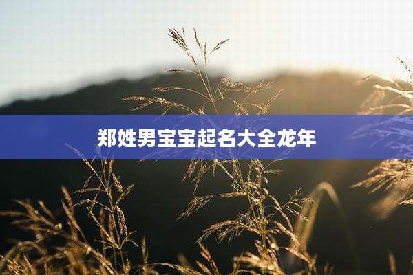 郑姓男宝宝起名大全龙年
