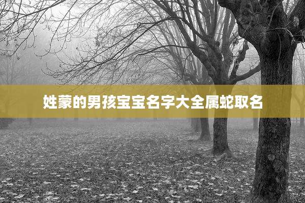 姓蒙的男孩宝宝名字大全属蛇取名