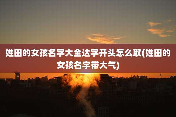 姓田的女孩名字大全达字开头怎么取(姓田的女孩名字带大气)