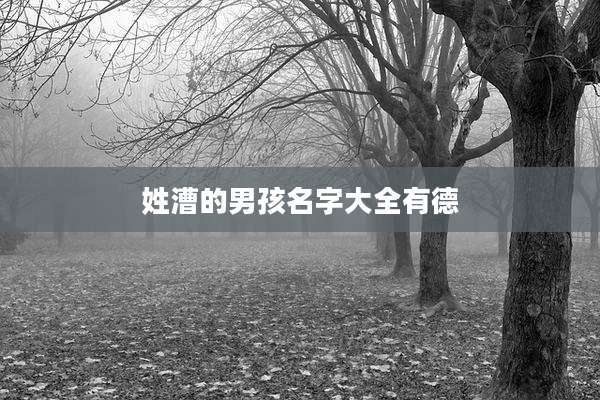 姓漕的男孩名字大全有德
