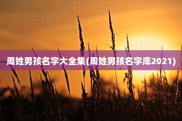 周姓男孩名字大全集(周姓男孩名字库2021)