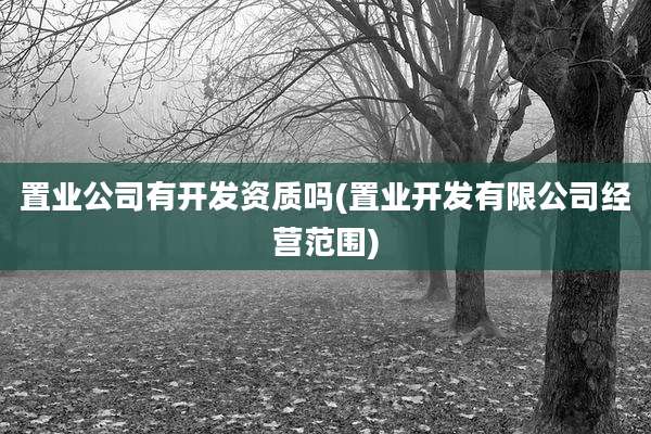 置业公司有开发资质吗(置业开发有限公司经营范围)
