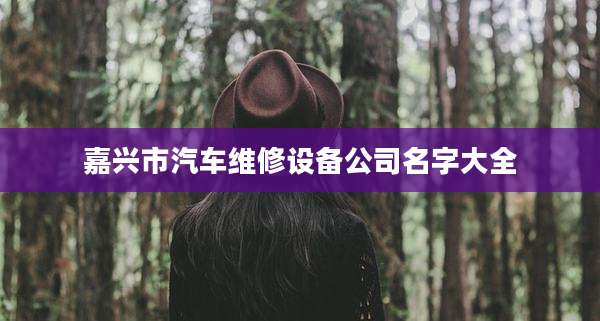 嘉兴市汽车维修设备公司名字大全