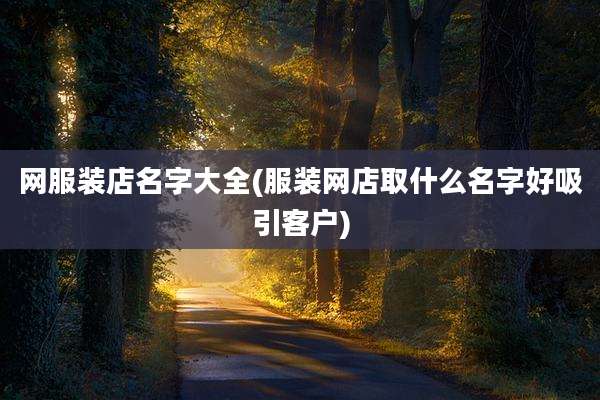 网服装店名字大全(服装网店取什么名字好吸引客户)