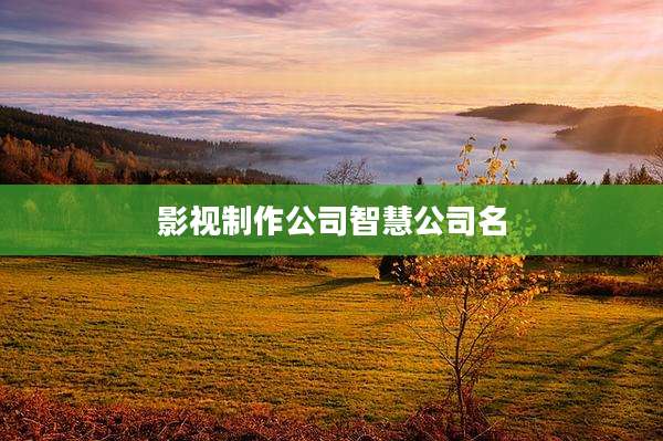 影视制作公司智慧公司名