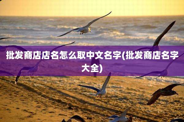 批发商店店名怎么取中文名字(批发商店名字大全)