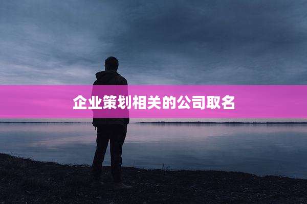 企业策划相关的公司取名