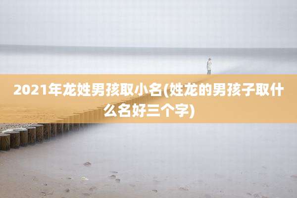 2021年龙姓男孩取小名(姓龙的男孩子取什么名好三个字)
