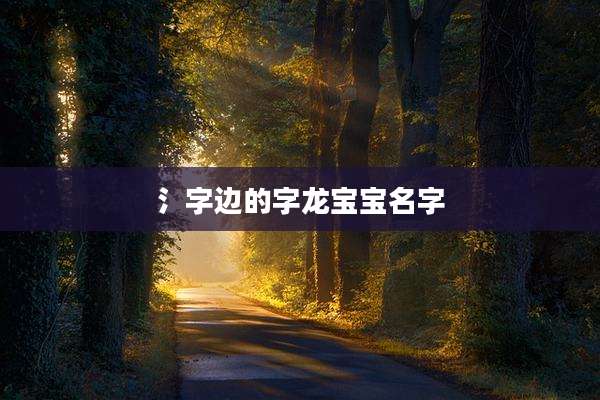 氵字边的字龙宝宝名字