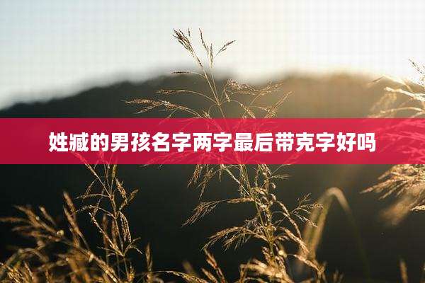 姓臧的男孩名字两字最后带克字好吗