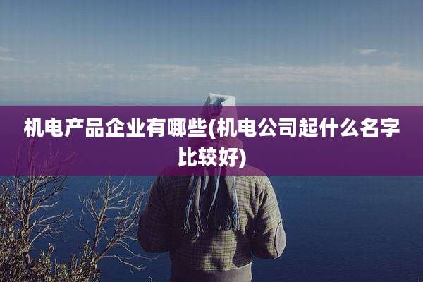 机电产品企业有哪些(机电公司起什么名字比较好)