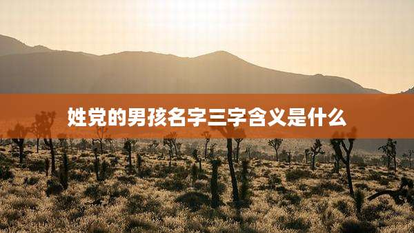 姓党的男孩名字三字含义是什么