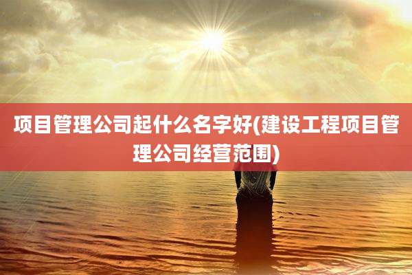 项目管理公司起什么名字好(建设工程项目管理公司经营范围)