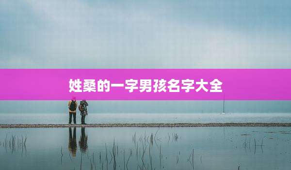 姓桑的一字男孩名字大全