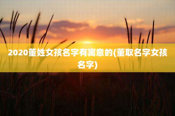 2020董姓女孩名字有寓意的(董取名字女孩名字)