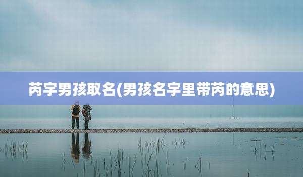 芮字男孩取名(男孩名字里带芮的意思)