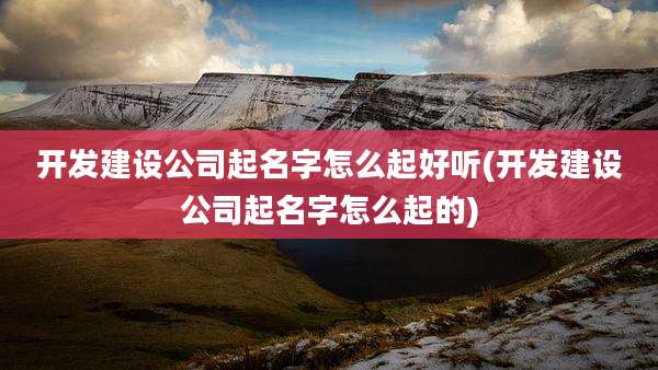 开发建设公司起名字怎么起好听(开发建设公司起名字怎么起的)