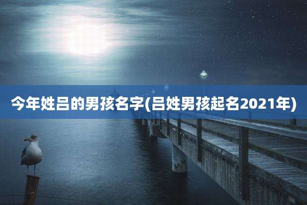今年姓吕的男孩名字(吕姓男孩起名2021年)