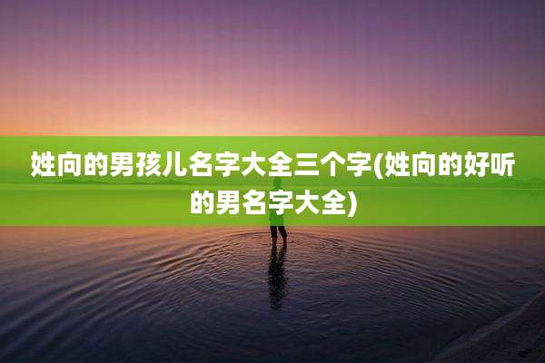 姓向的男孩儿名字大全三个字(姓向的好听的男名字大全)