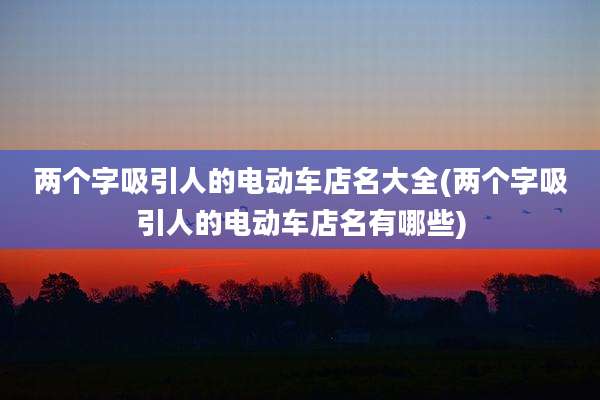 两个字吸引人的电动车店名大全(两个字吸引人的电动车店名有哪些)