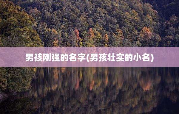 男孩刚强的名字(男孩壮实的小名)
