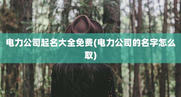 电力公司起名大全免费(电力公司的名字怎么取)