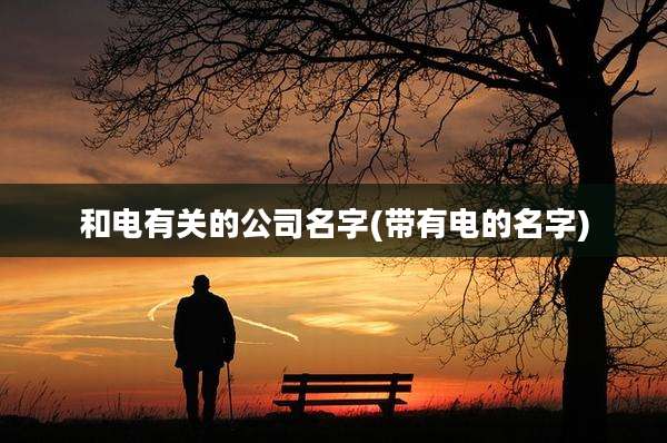 和电有关的公司名字(带有电的名字)