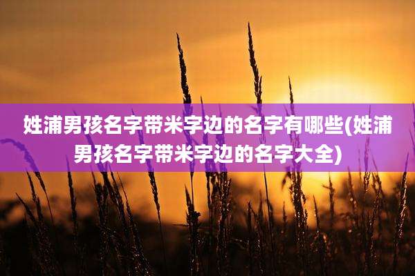 姓浦男孩名字带米字边的名字有哪些(姓浦男孩名字带米字边的名字大全)