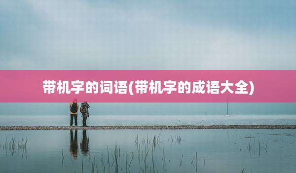 带机字的词语(带机字的成语大全)