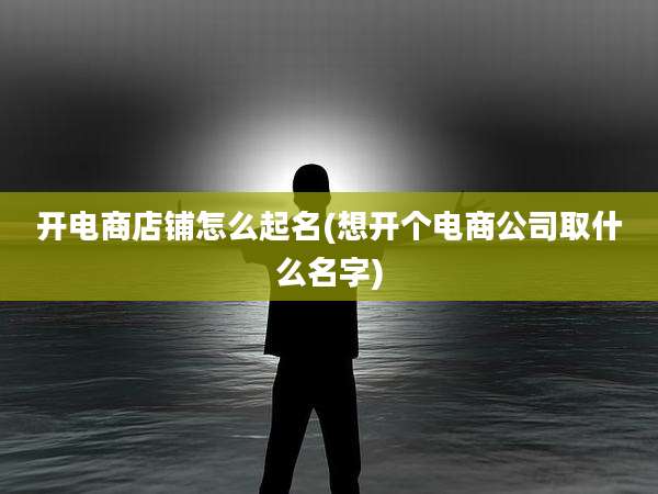 开电商店铺怎么起名(想开个电商公司取什么名字)