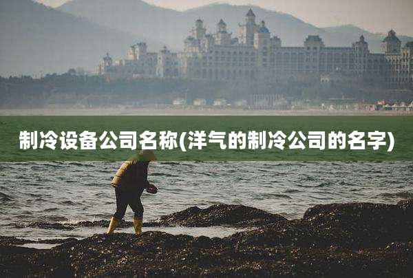 制冷设备公司名称(洋气的制冷公司的名字)