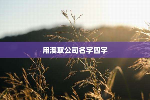 用澳取公司名字四字
