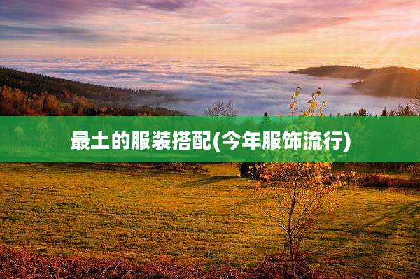 最土的服装搭配(今年服饰流行)