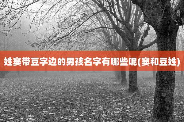 姓窦带豆字边的男孩名字有哪些呢(窦和豆姓)