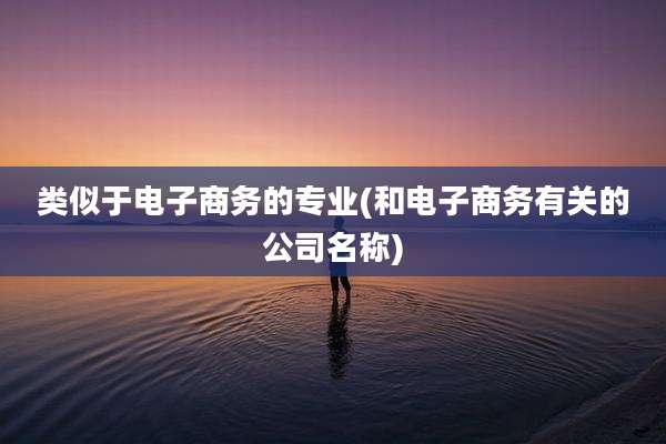 类似于电子商务的专业(和电子商务有关的公司名称)