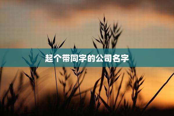 起个带同字的公司名字