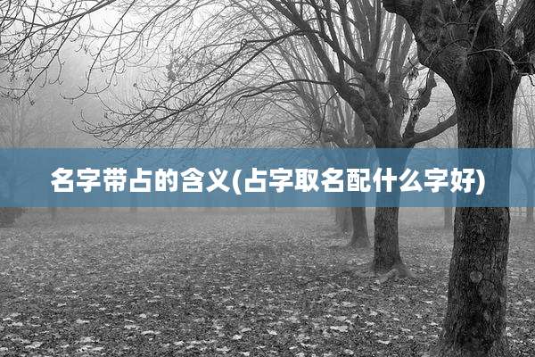 名字带占的含义(占字取名配什么字好)