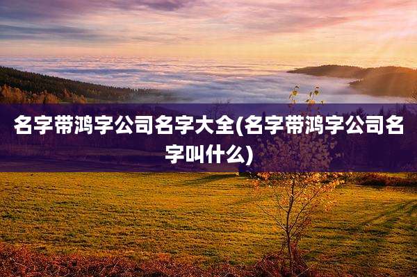 名字带鸿字公司名字大全(名字带鸿字公司名字叫什么)