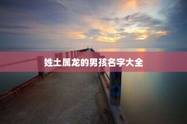姓土属龙的男孩名字大全