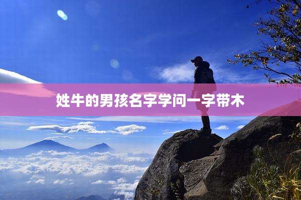 姓牛的男孩名字学问一字带木