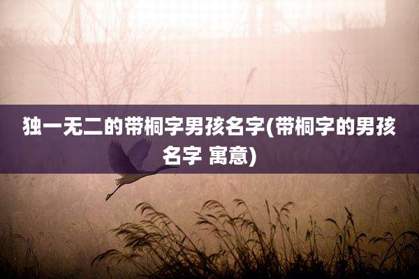 独一无二的带桐字男孩名字(带桐字的男孩名字 寓意)