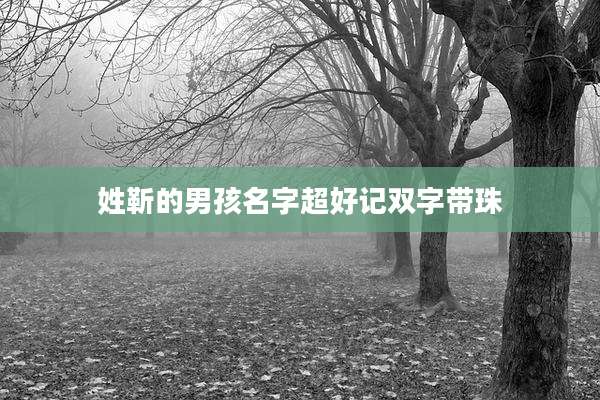 姓靳的男孩名字超好记双字带珠