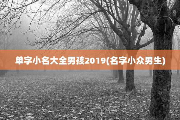 单字小名大全男孩2019(名字小众男生)