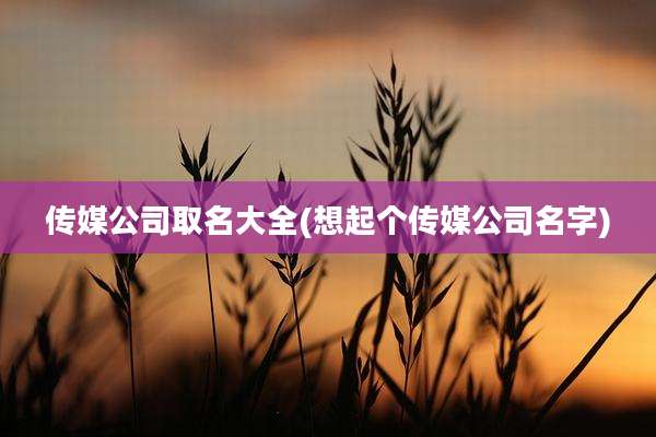 传媒公司取名大全(想起个传媒公司名字)