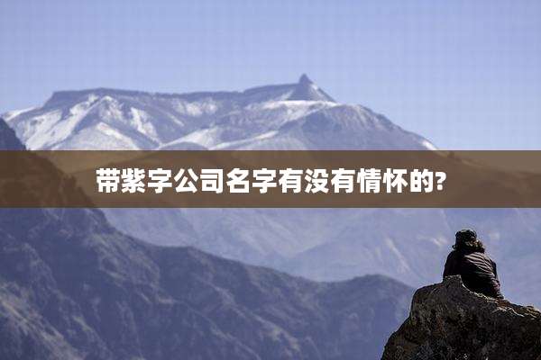 带紫字公司名字有没有情怀的?