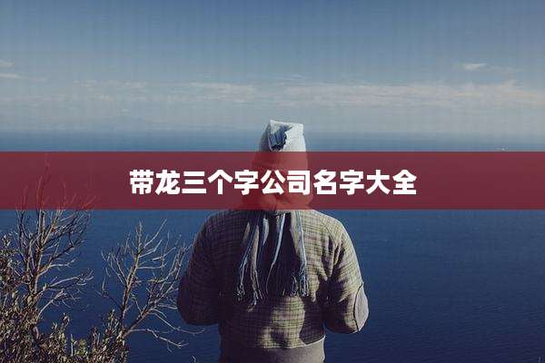 带龙三个字公司名字大全